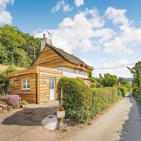 Elsies Cottage Pontesbury Ngoại thất bức ảnh